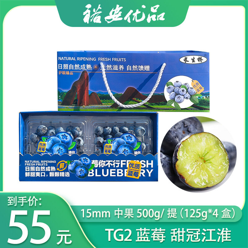 长生桥村鲜蓝莓 TG2 臻品蓝莓