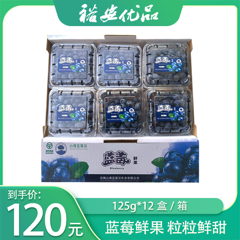 山湾蓝莓 鲜果1500g/箱 125g*12盒