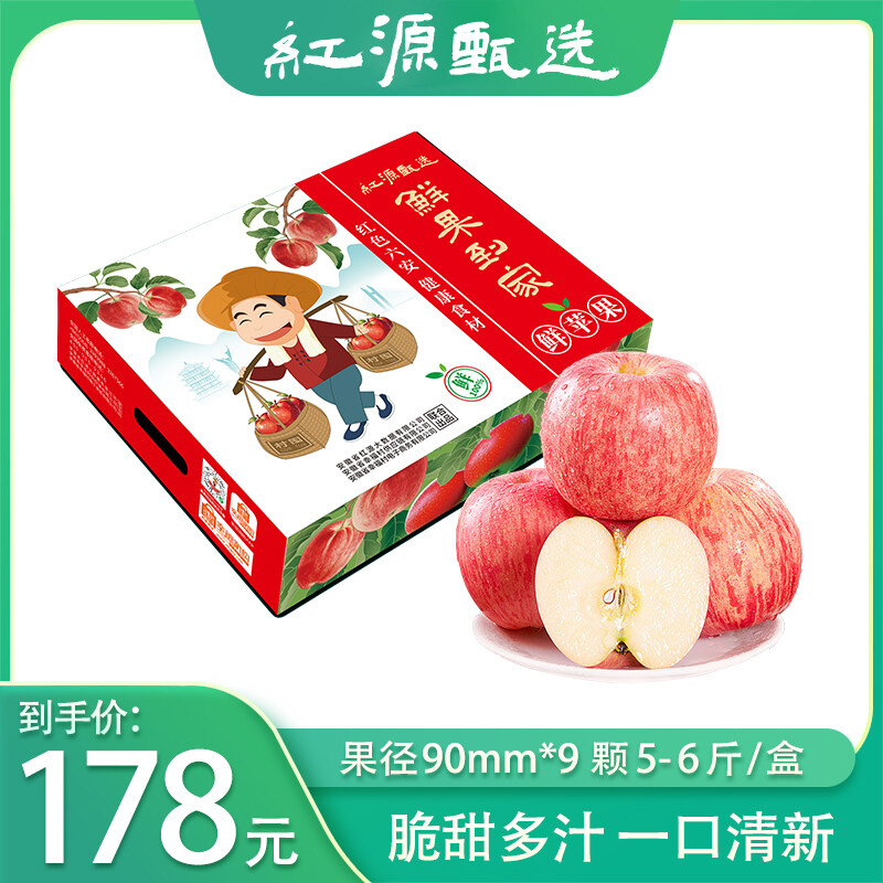 红源甄选 鲜苹果90mm~95mm*9颗