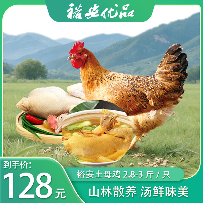 村囤牌裕安土母鸡 新鲜老母鸡 炖汤 2.8—3.0斤/只