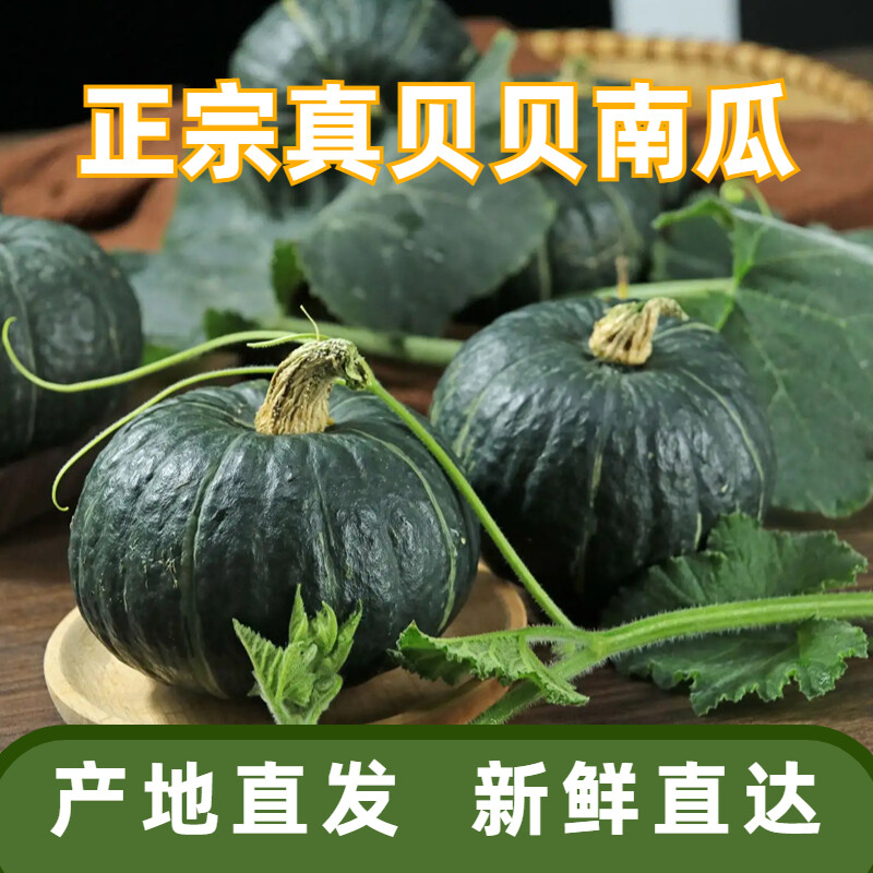 板栗南瓜自然种植绿色营养健康农场小南瓜贝贝南瓜
