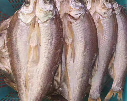 风干大白刁300g*2条